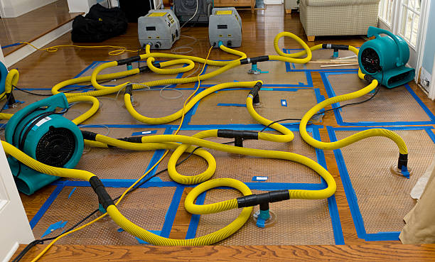 Professional Basement Flood Cleanup technician working in Tsaile, AZ
